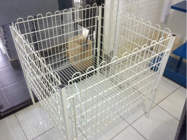 1457972189_1_rak bin.png